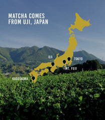 Organic Everyday Matcha