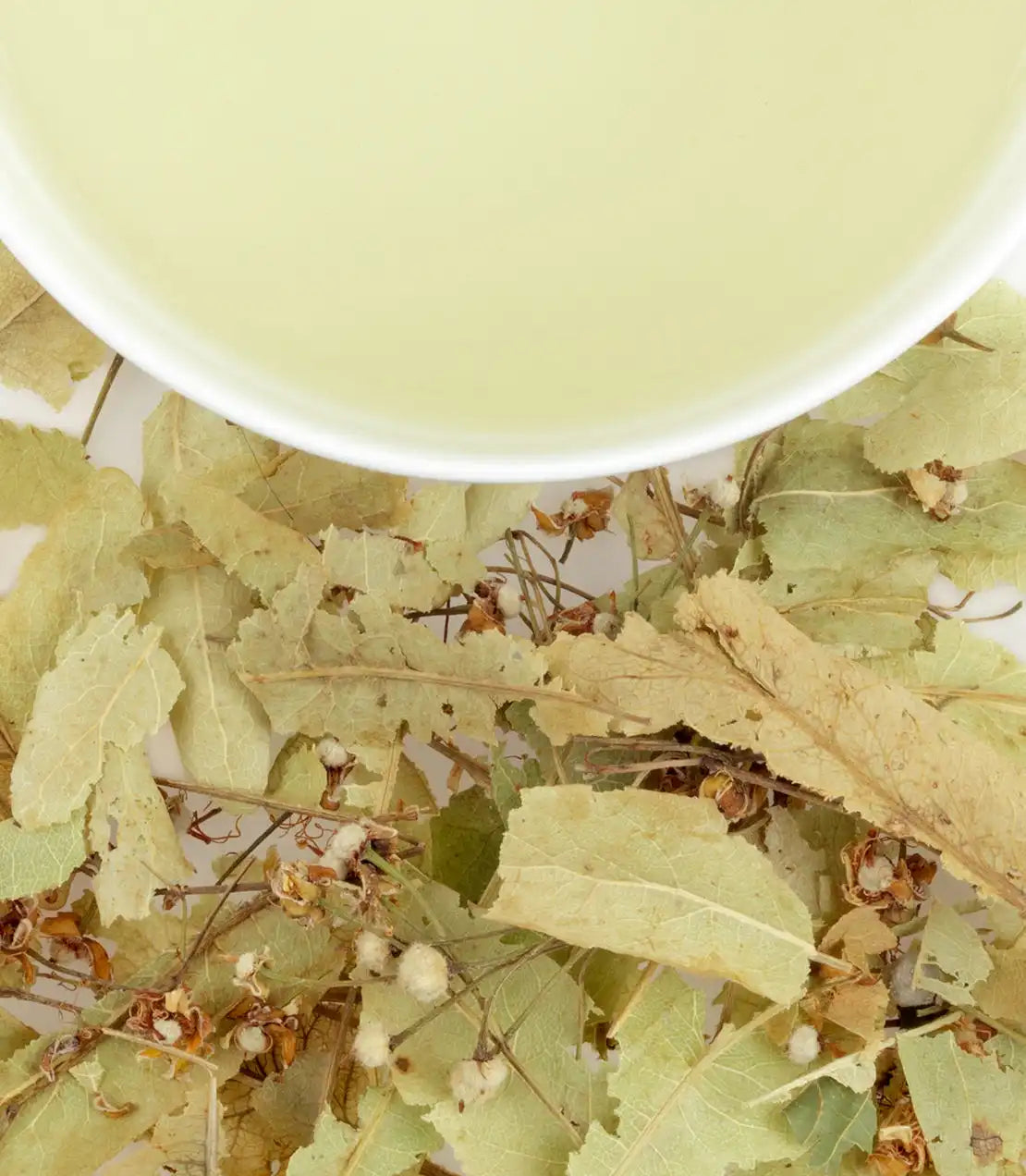 Tilleul (Linden Leaves)